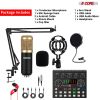 5 CORE Condenser Microphone Bundle, Podcast Equipment Bundle w/Mixer, Mic Arm Stand, Shock Mount